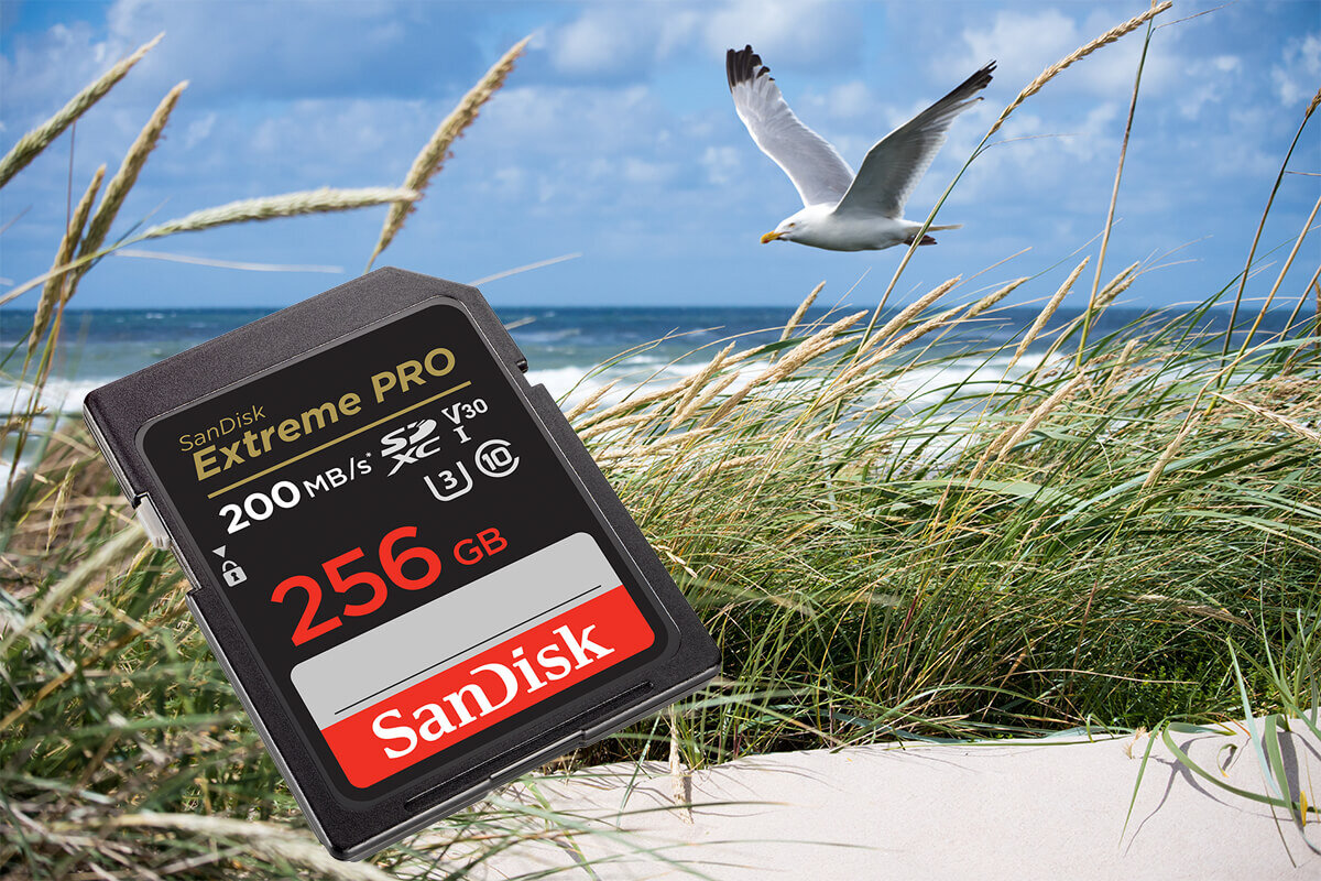karta sandisk zdjecie lifestyle