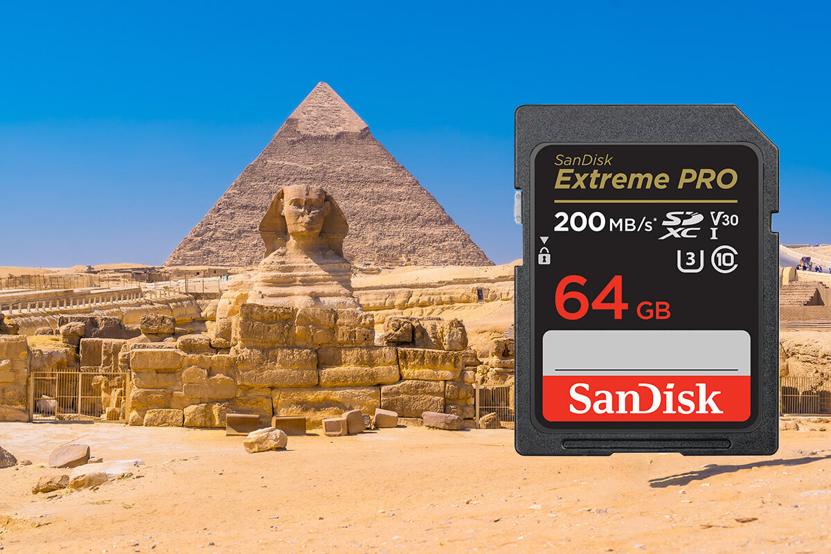 karta sandisk zdjecie lifestyle
