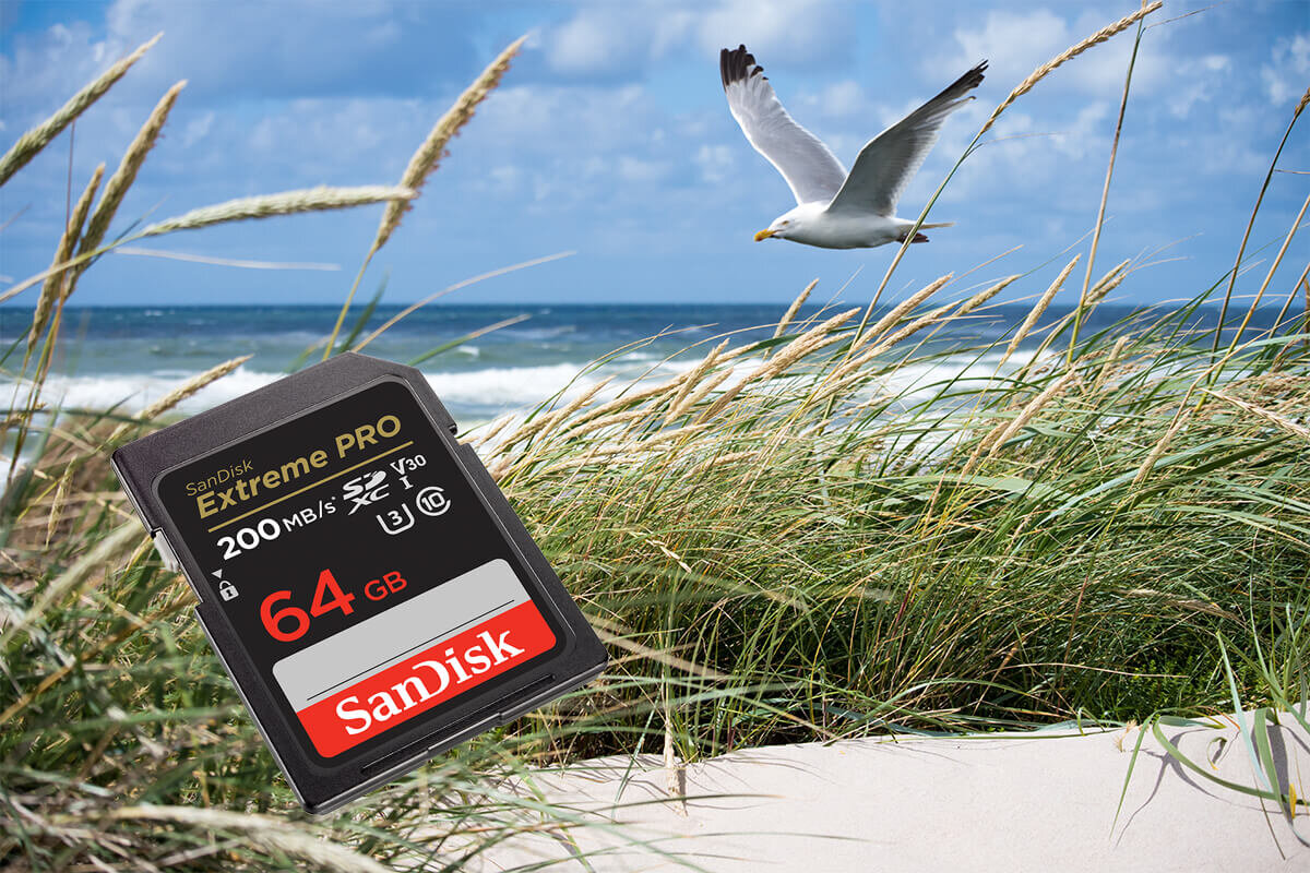 karta sandisk zdjecie lifestyle