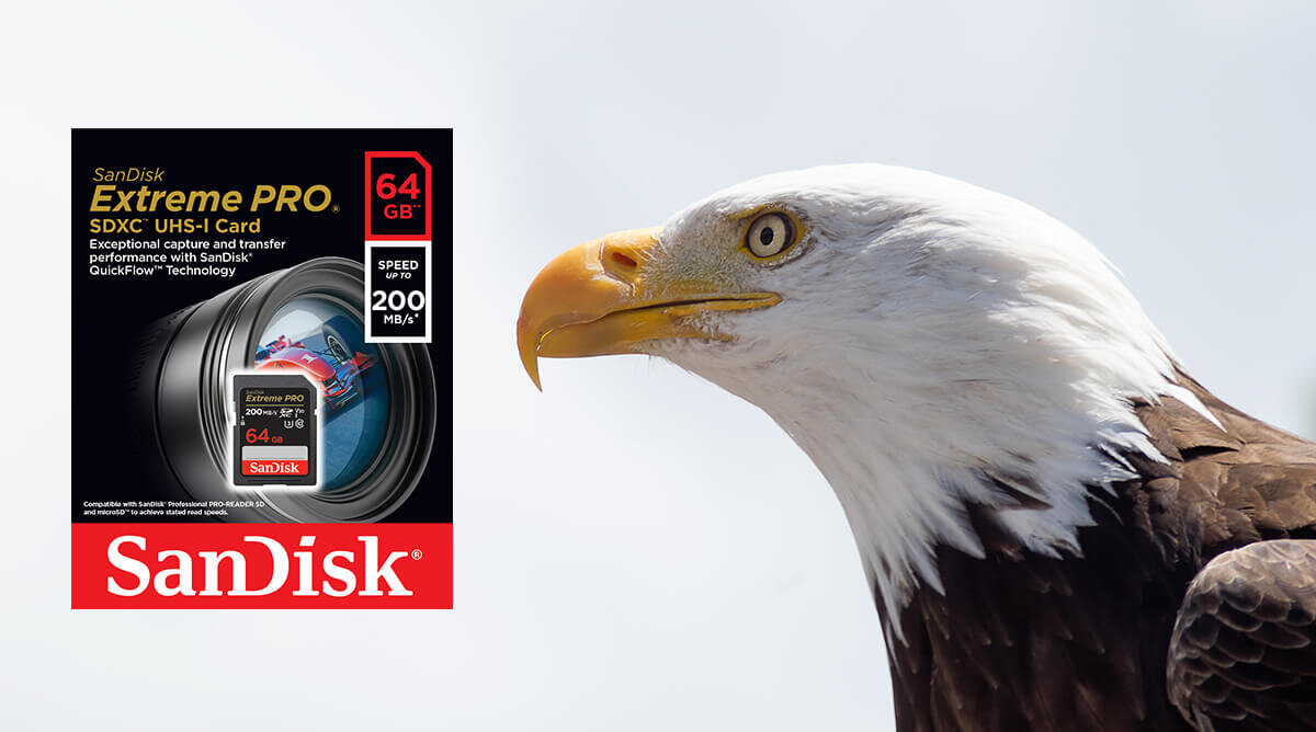karta sandisk zdjecie lifestyle