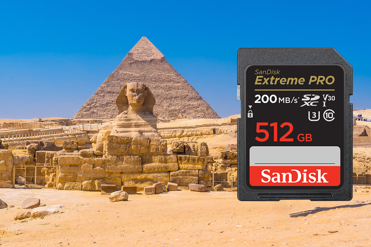 karta sandisk zdjecie lifestyle