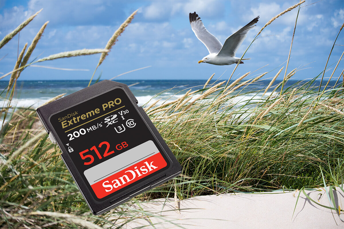 karta sandisk zdjecie lifestyle