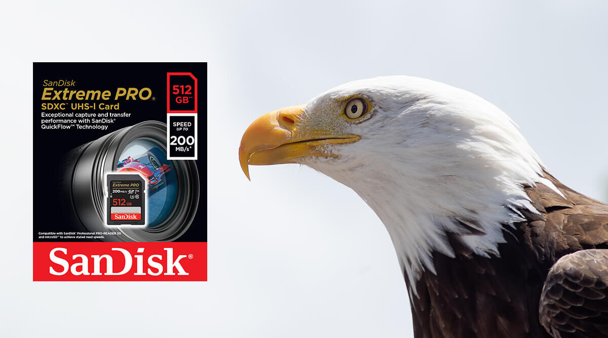 karta sandisk zdjecie lifestyle