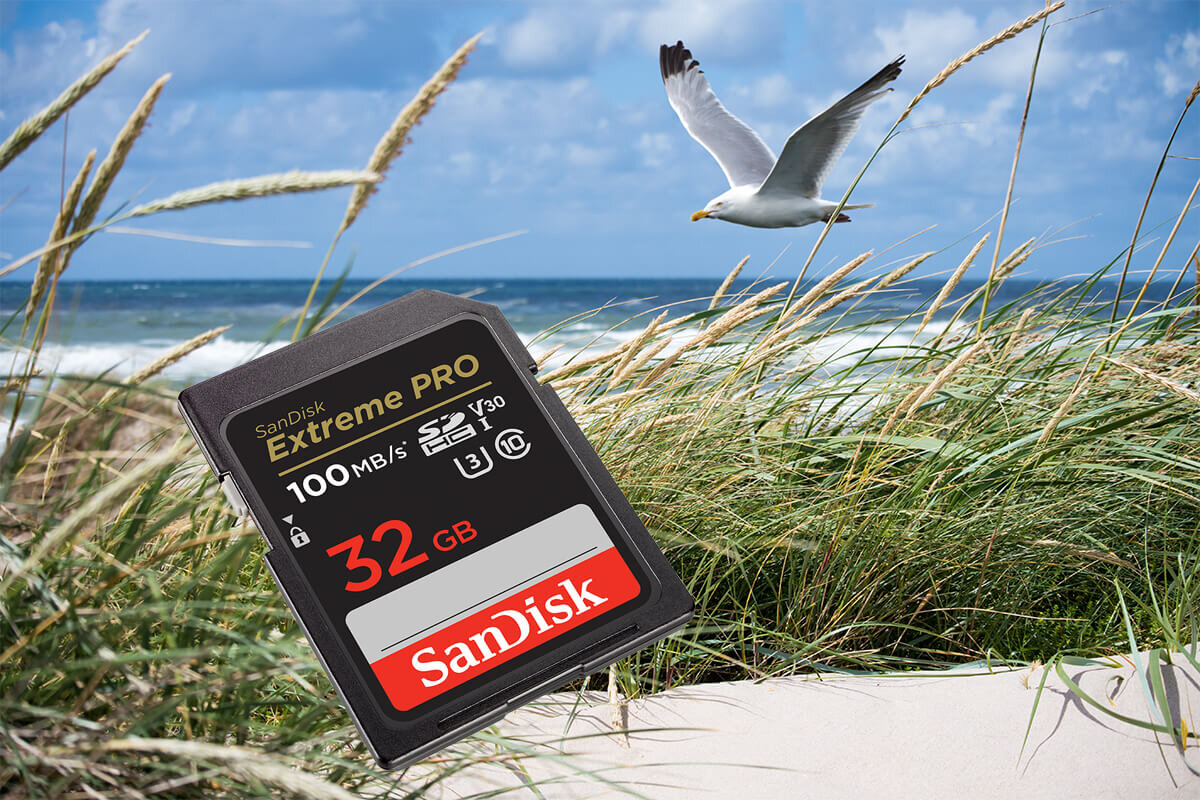 karta sandisk zdjecie lifestyle