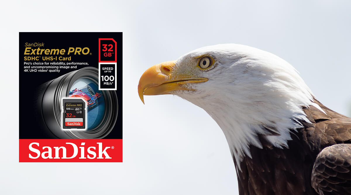 karta sandisk zdjecie lifestyle