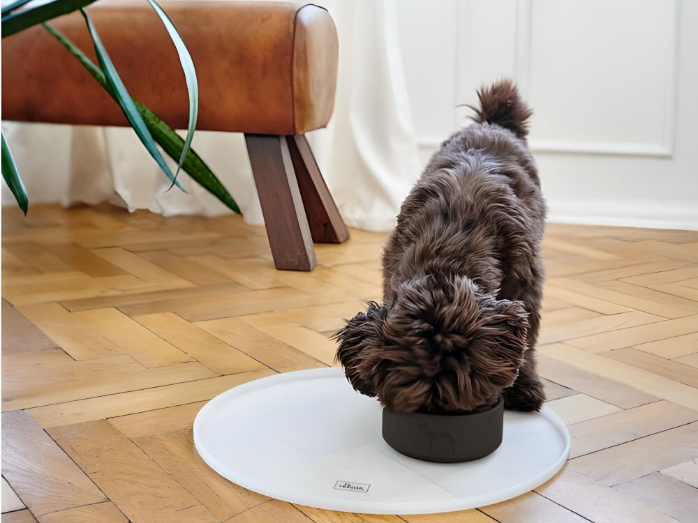 Miska ceramiczna dla psa HUNTER Osby 68982 Antracytowy, elegancki design i funkcjonalność, gustowne akcesorium dla psa - Na zdjęciu znajduje się brązowy pies jedzący z beżowej miski umieszczonej na jasnej podkładce na drewnianej podłodze. W tle widoczna jest brązowa ławka oraz roślina doniczkowa, a na podkładce znajduje się logo Hunter