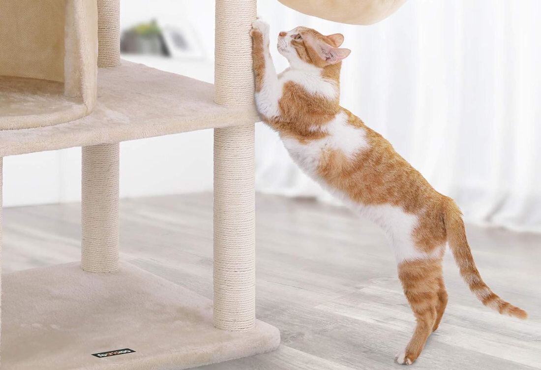 Drapak dla kota FEANDREA PCT90M Ochrona mebli pielęgnacja pazurów Różne powierzchnie i poziomy wygodne drapanie