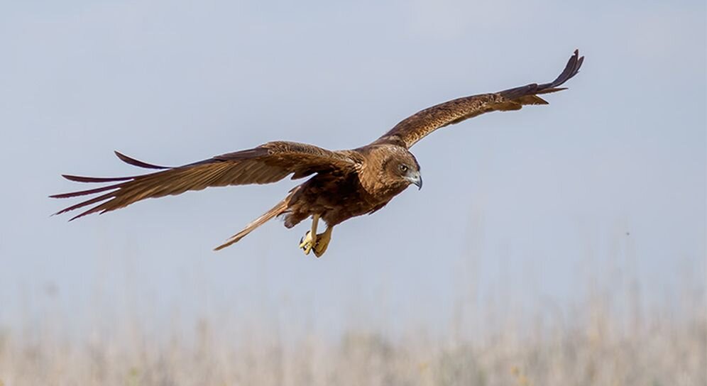 Obiektyw OLYMPUS M.Zuiko Digital ED 100‑400mm F5.0‑6.3 IS EZ-M1040  ogniskowa przysłona ostrość pierścienie optyka soczewki powłoki montaż bagnet światło jasność zoom filtry waga