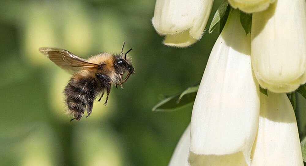 Obiektyw OLYMPUS M.Zuiko Digital ED 100‑400mm F5.0‑6.3 IS EZ-M1040  ogniskowa przysłona ostrość pierścienie optyka soczewki powłoki montaż bagnet światło jasność zoom filtry waga