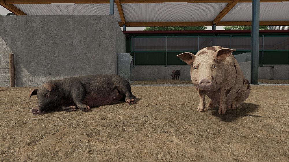 Farming Simulator 22 Gra  wydajność grafika