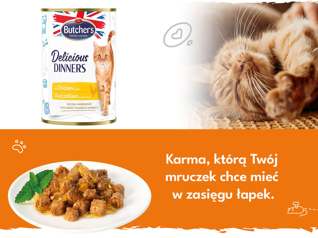 butchers delicious dinners kot grafika druga 400g