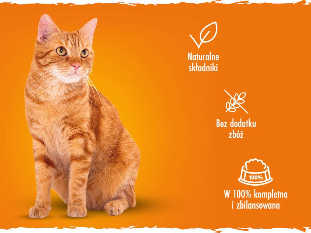 butchers delicious dinners kot grafika trzecia 400g