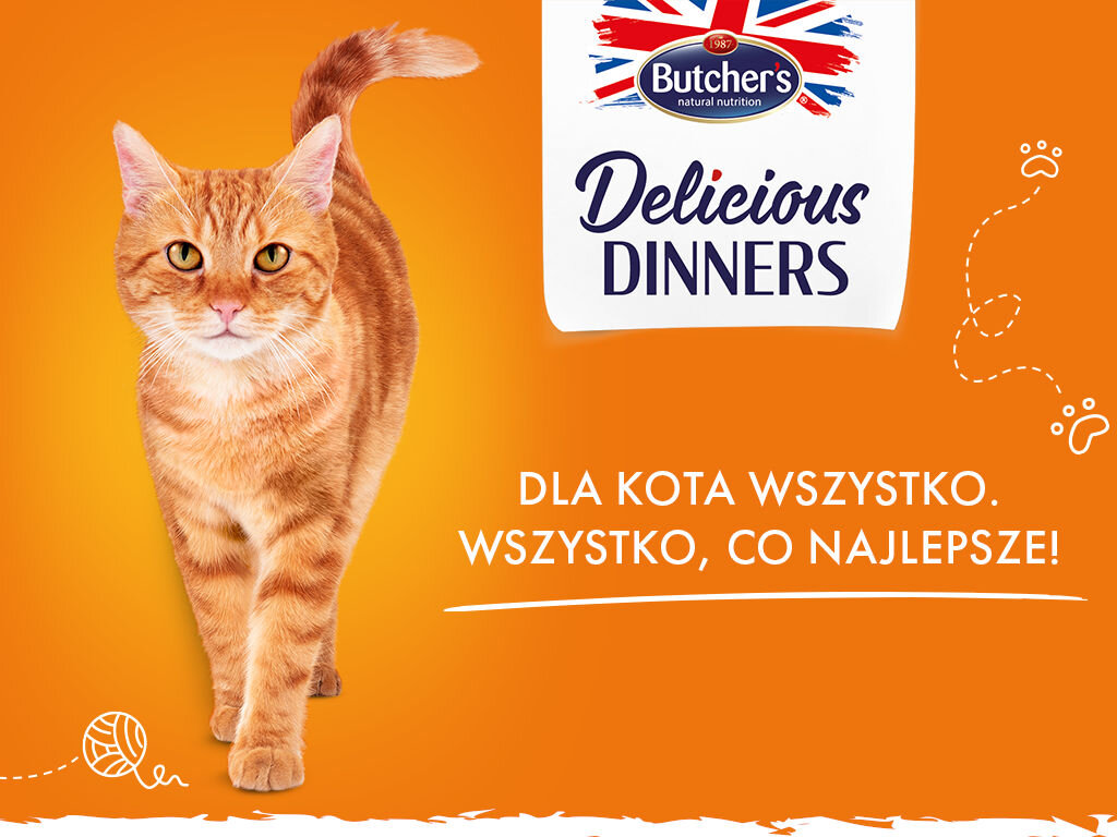 butchers delicious dinners kot grafika pierwsza 400g