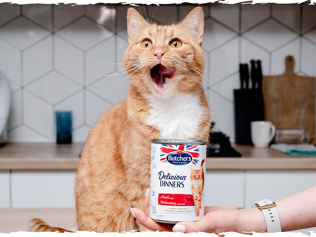 butchers delicious dinners kot grafika czwarta 400g