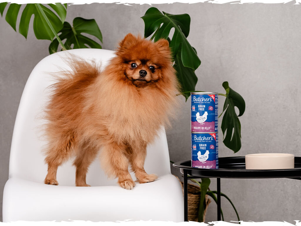 Karma dla psa BUTCHER'S Original Recipe in Jelly Kurczak 400 g butchers original jelly pies grafika trzecia 400g