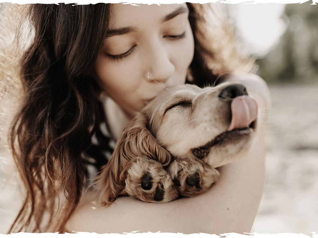 Karma dla psa BUTCHER'S Original Junior Wołowina 400 g butchers original junior pies grafika trzecia 400g