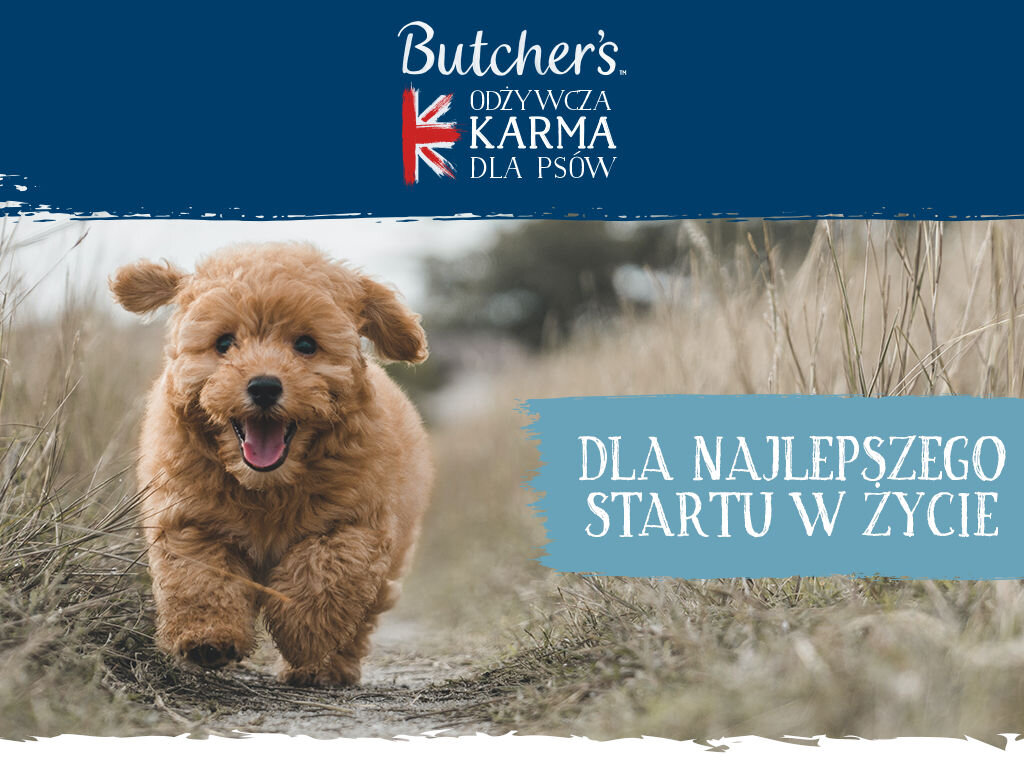 Karma dla psa BUTCHER'S Original Junior Kurczak 400 g butchers original junior pies grafika pierwsza 400g