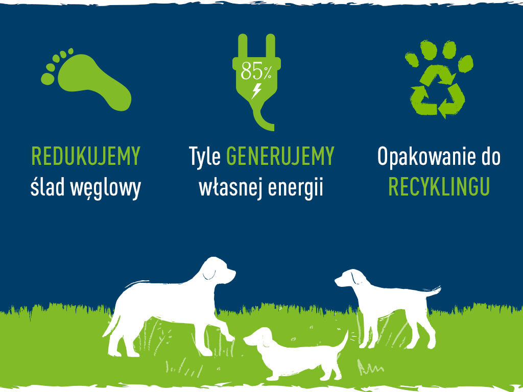 Karma dla psa BUTCHER'S Original Junior Kurczak 400 g butchers original pies ekologia grafika czwarta