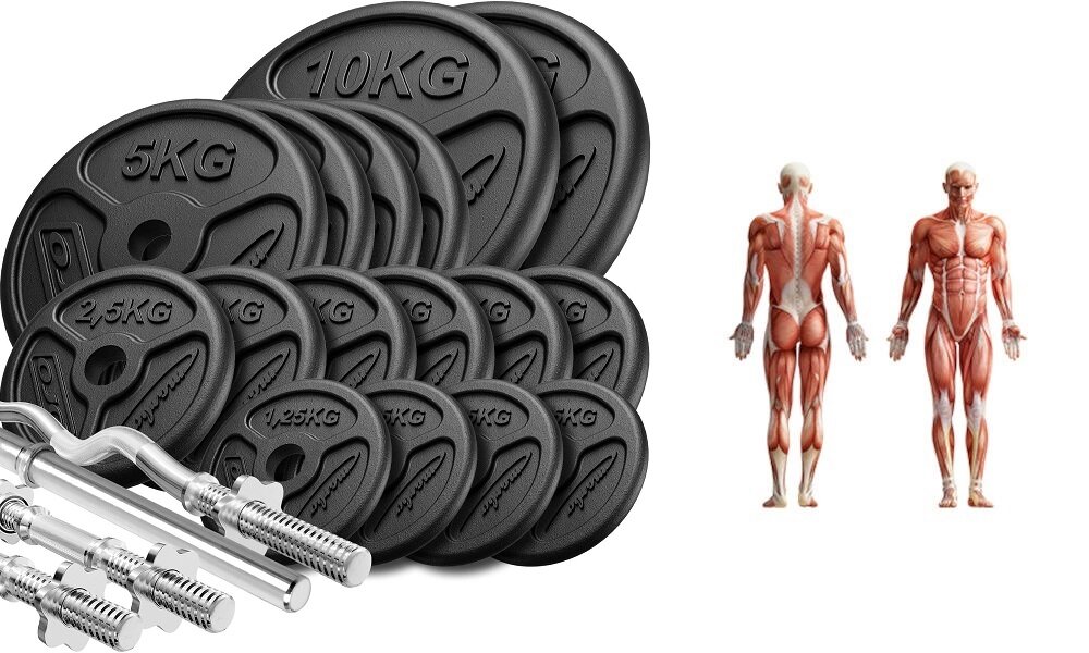 MARBO SPORT MW-83KG-SLIM ćwiczenia gryfy obciążenia sztanga hantle
