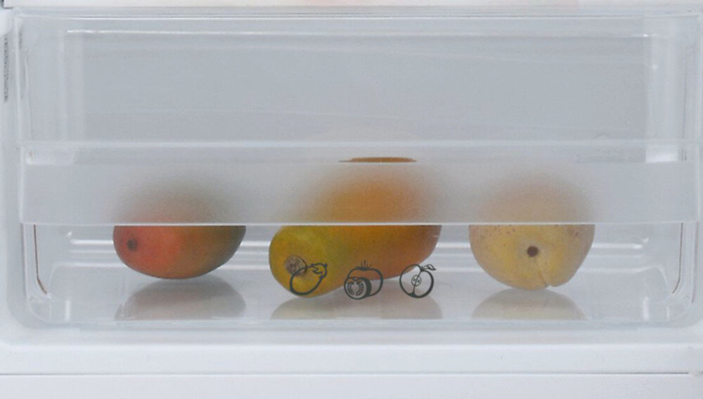 LODÓWKA CANDY CMDDS 5142WN szuflada na warzywa