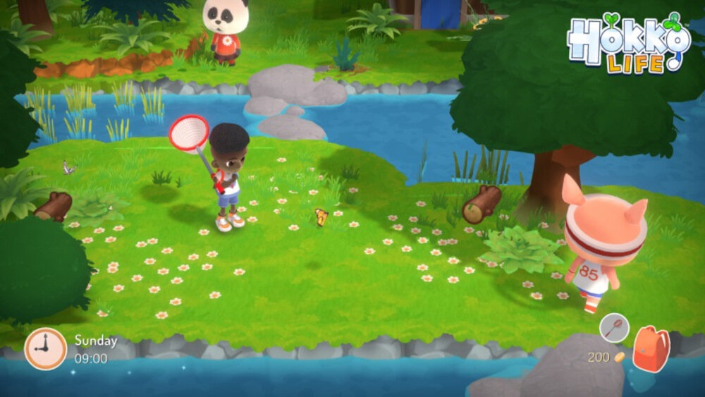 Hokko Life Gra polowanie na owady