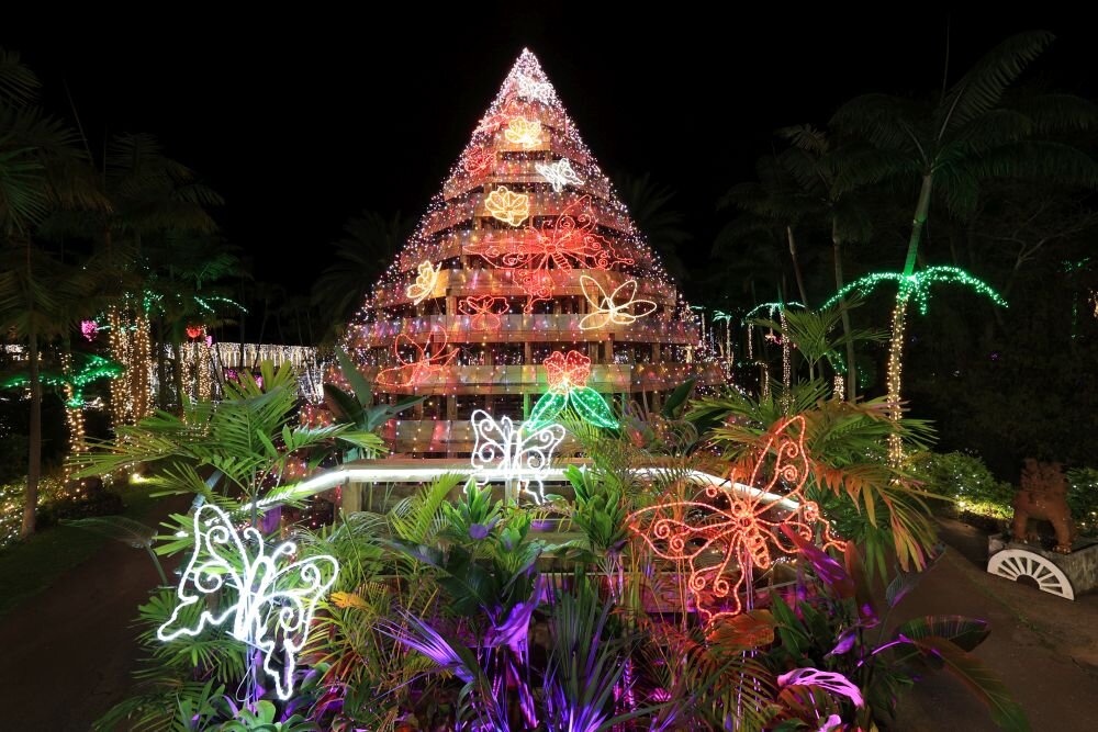 Obiektyw CANON RF 15-30mm F4.5-6.3 IS STM  ogniskowa przysłona ostrość pierścienie optyka soczewki powłoki montaż bagnet światło jasność zoom filtry waga