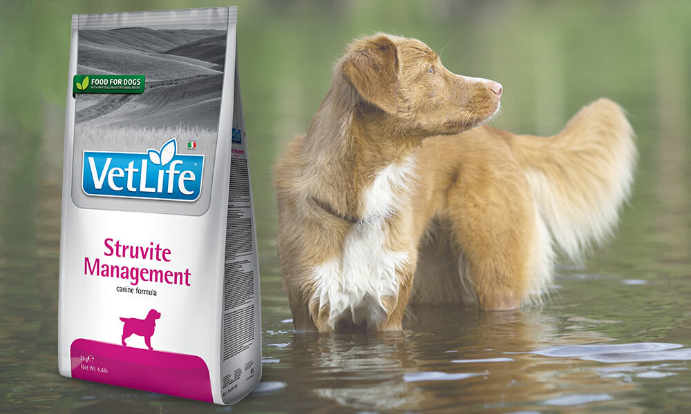 Karma dla psa FARMINA Vet Life Struvite Management 2 kg dawkowanie analiza sklad