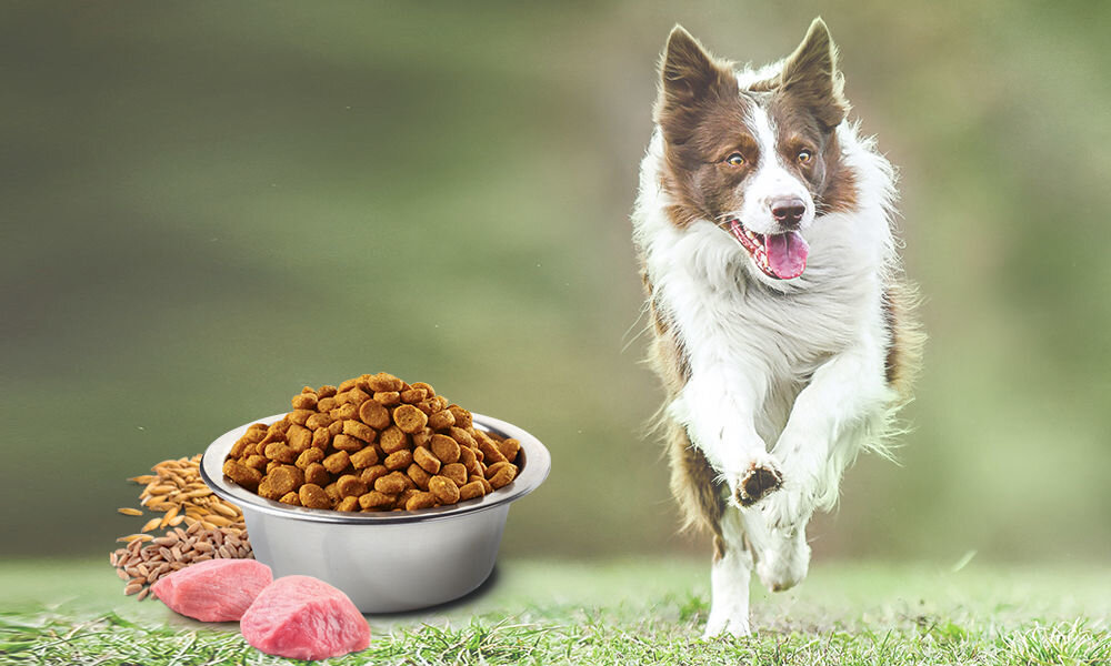 Karma dla psa FARMINA N&D Ancestral Grain Jagnięcina z borówką Adult Mini 7 kg naturalne składniki wielkość krokietów