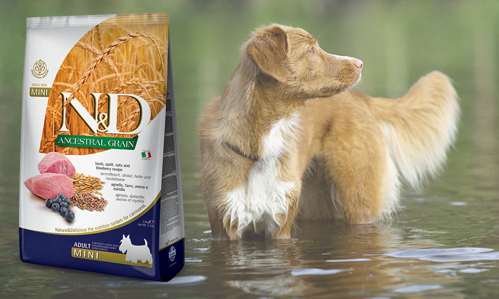 Karma dla psa FARMINA N&D Ancestral Grain Jagnięcina z borówką Adult Mini 7 kg dawkowanie analiza sklad