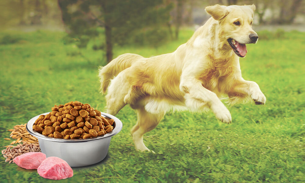 Karma dla psa FARMINA N&D Ancestral Grain Jagnięcina z borówką Adult Mini 7 kg witaminy pierwiastki aminokwasy