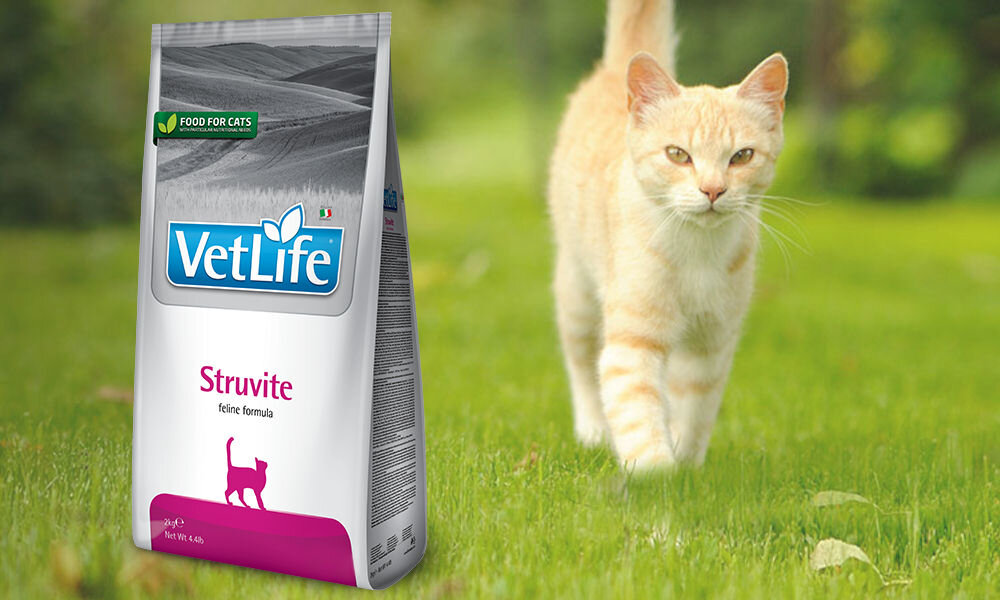 Karma dla kota FARMINA Vet Life Struvite 400 g dawkowanie analiza sklad