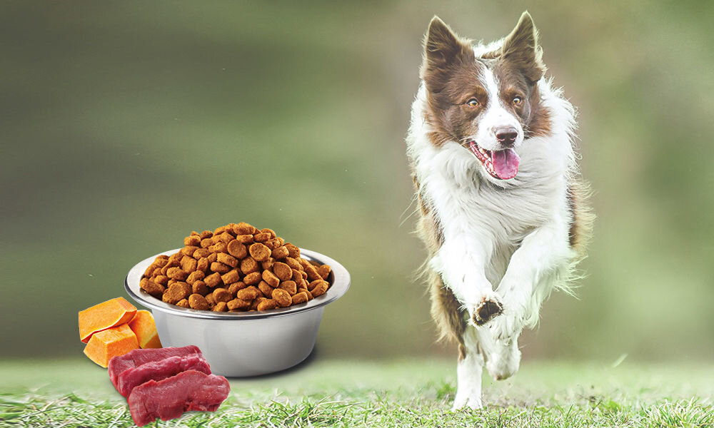 Karma dla psa FARMINA Jeleń z dynią i jabłkiem Medium & Maxi 2.5 kg naturalne składniki wielkość krokietów