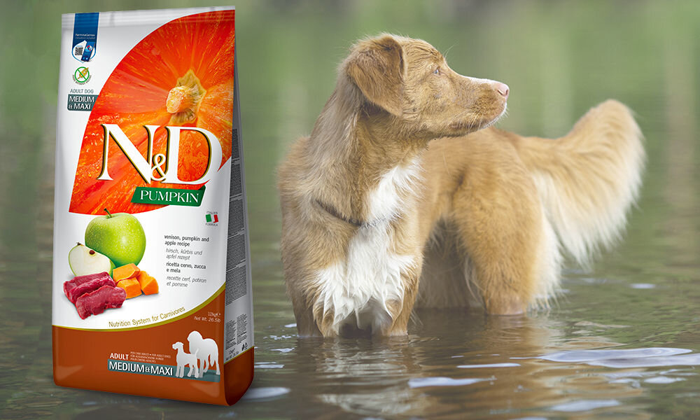 Karma dla psa FARMINA Jeleń z dynią i jabłkiem Medium & Maxi 2.5 kg dawkowanie analiza sklad