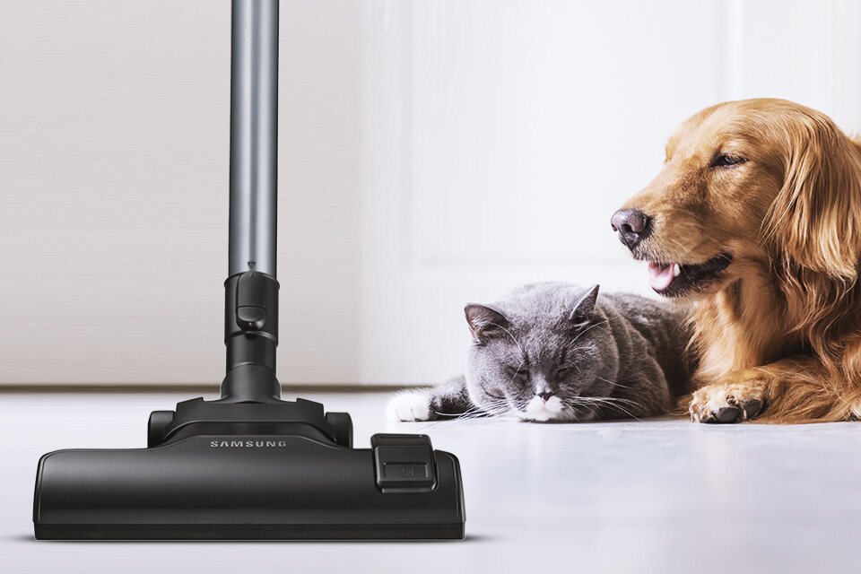 Główna szczotka nadaje się zarówno do podłóg twardych, jak i do dywanów