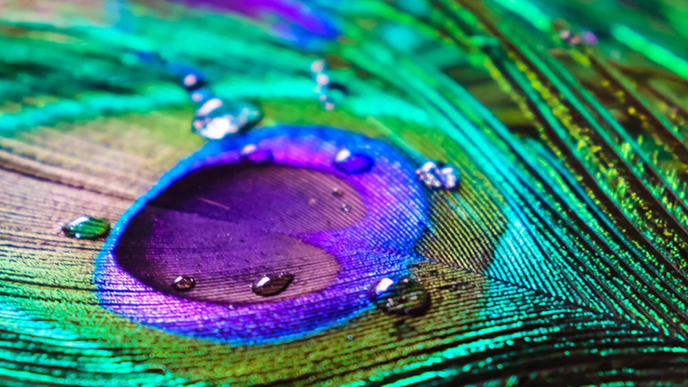 Telewizor HITACHI HAQ7350 - obraz