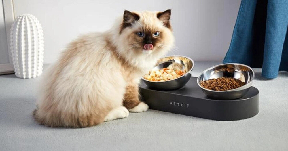 Miska PETKIT Fresh Nano Metal Dla Twojego pupila wygląd prezentacja design wizualizacja lifestyle