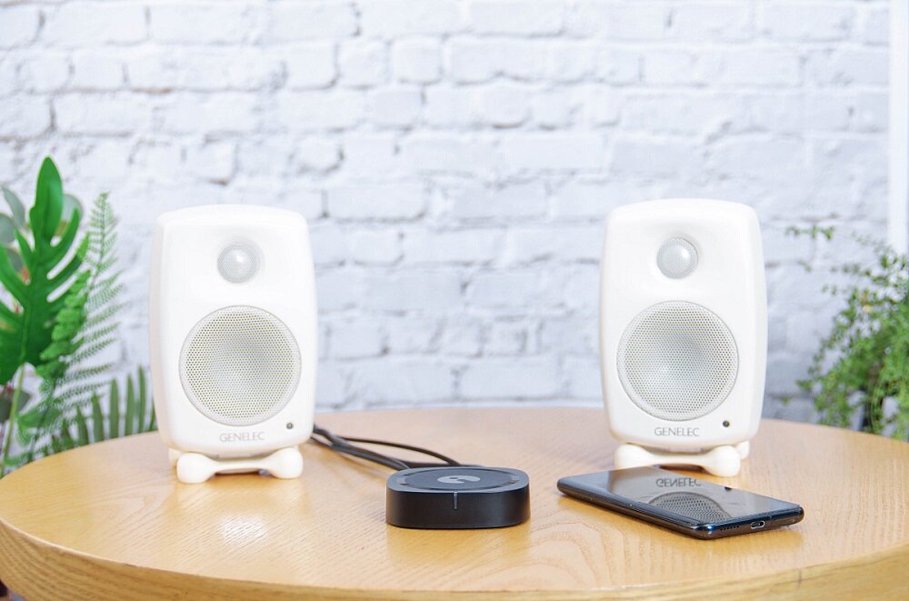 Odtwarzacz sieciowy IEAST Audiocast PRO M50 - Wszechstronne połączenia