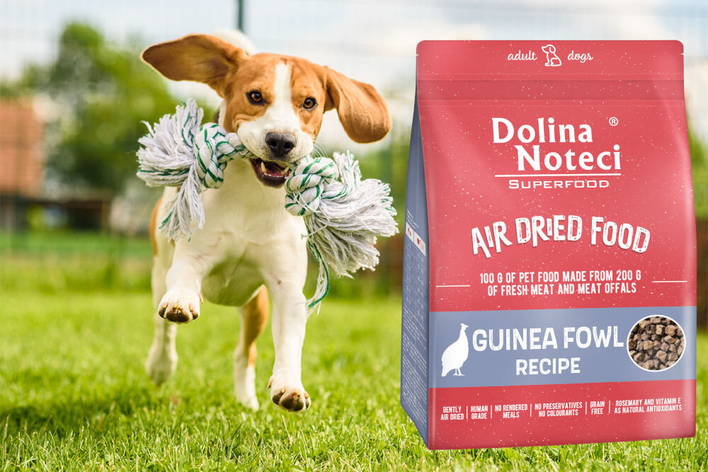 Karma dla psa DOLINA NOTECI Superfood Perliczka 1 kg naturalne składniki wielkość krokietów