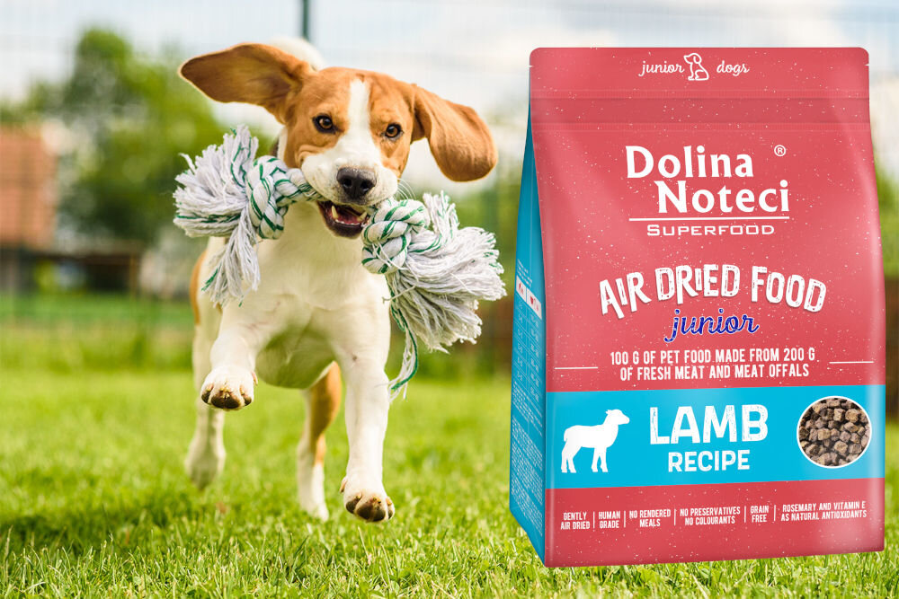 Karma dla psa DOLINA NOTECI Superfood Junior Królik 1 kg naturalne składniki wielkość krokietów