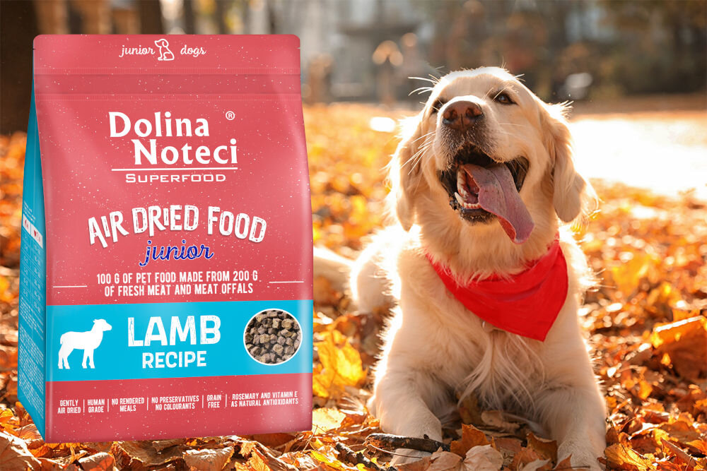 Karma dla psa DOLINA NOTECI Superfood Junior Królik 1 kg dawkowanie analiza sklad