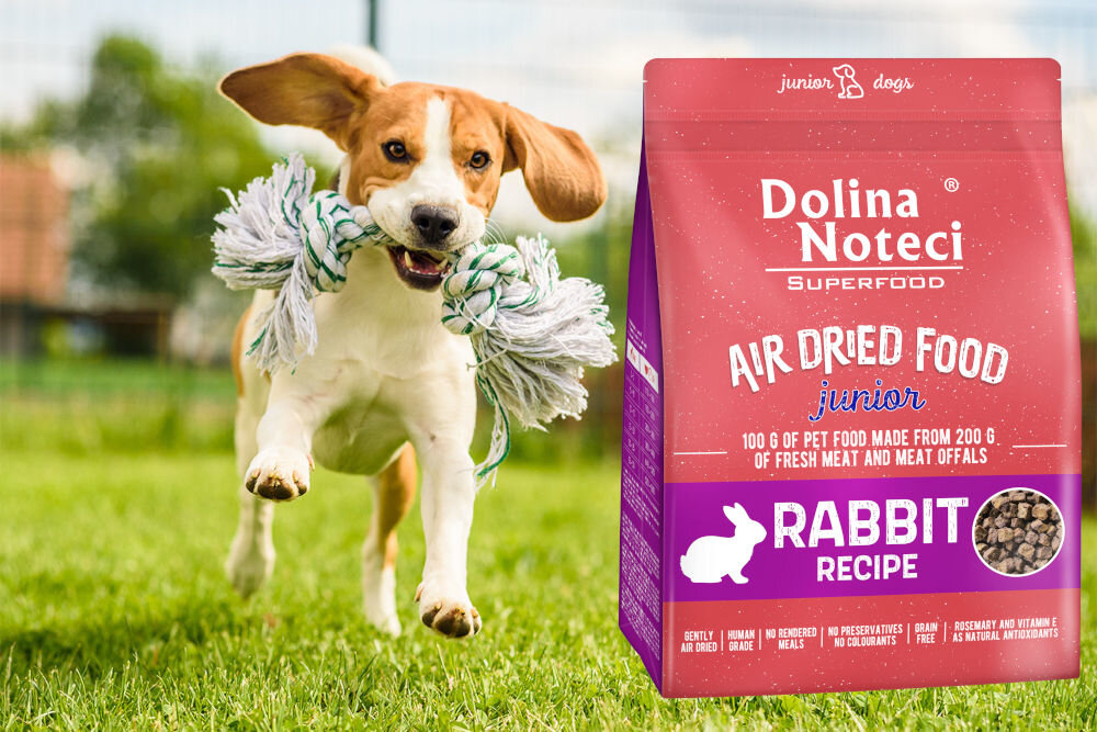 Karma dla psa DOLINA NOTECI Superfood Junior Królik 1 kg naturalne składniki wielkość krokietów