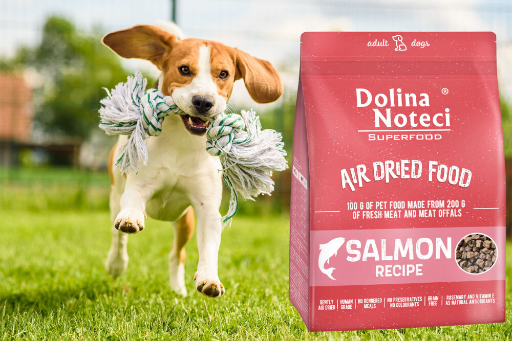 Karma dla psa DOLINA NOTECI Superfood Łosoś 1 kg naturalne składniki wielkość krokietów