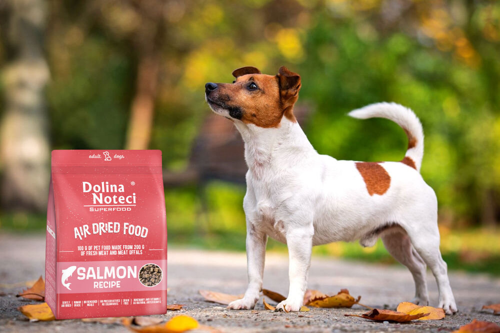 Karma dla psa DOLINA NOTECI Superfood Łosoś 1 kg dawkowanie analiza sklad