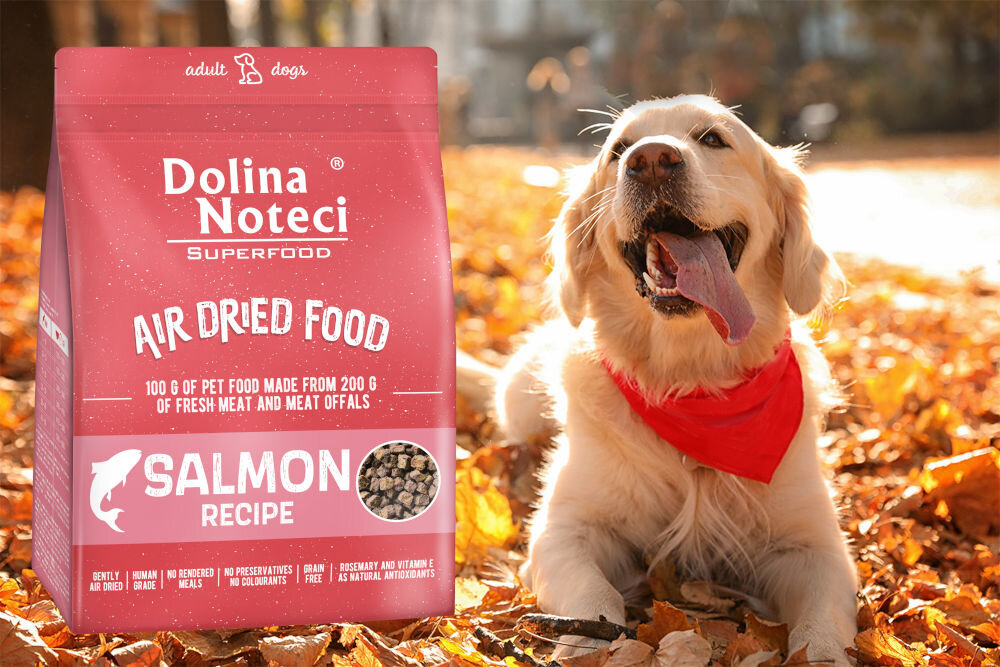 Karma dla psa DOLINA NOTECI Superfood Łosoś 1 kg dawkowanie analiza sklad
