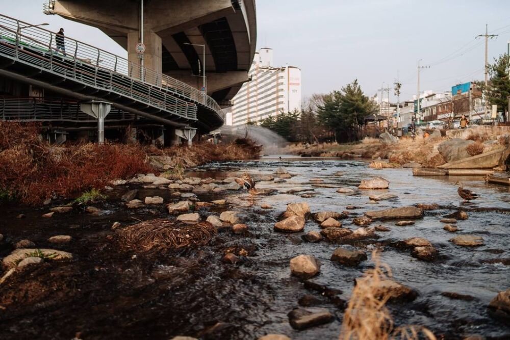 Obiektyw SAMYANG AF 35mm f-1.4 SONY FE II   ogniskowa przysłona ostrość pierścienie optyka soczewki powłoki montaż bagnet światło jasność zoom filtry waga