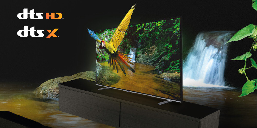 Telewizor JVC LT-VA6200  - dts