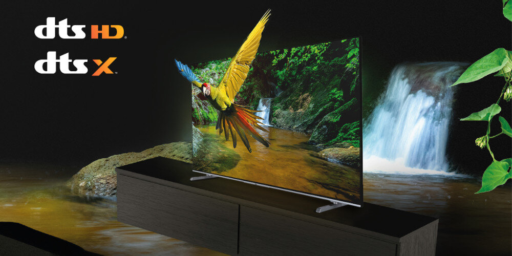 Telewizor JVC LT-VA7200  - dts dźwięk subwoofer