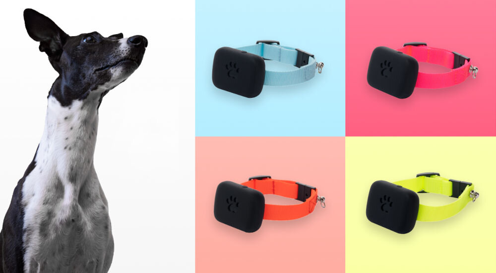 Lokalizator GPS LOCON BZ.02 + 6 miesięcy abonamentu przycisk sos nasłuch otoczenia