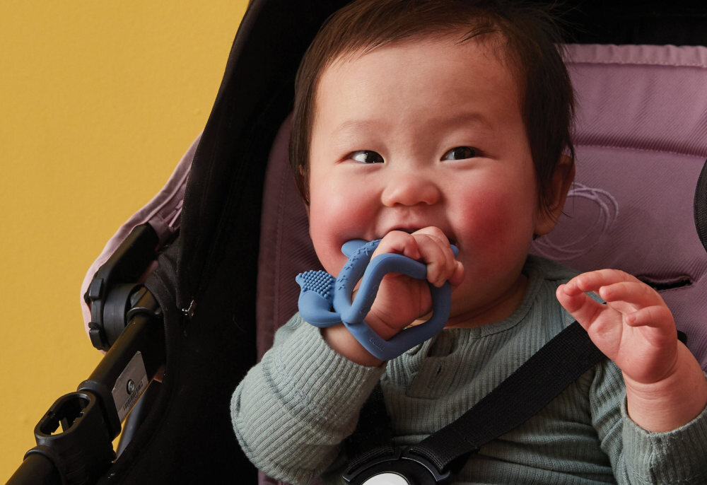 Gryzak B.BOX Lisek BB100308 Niebieski