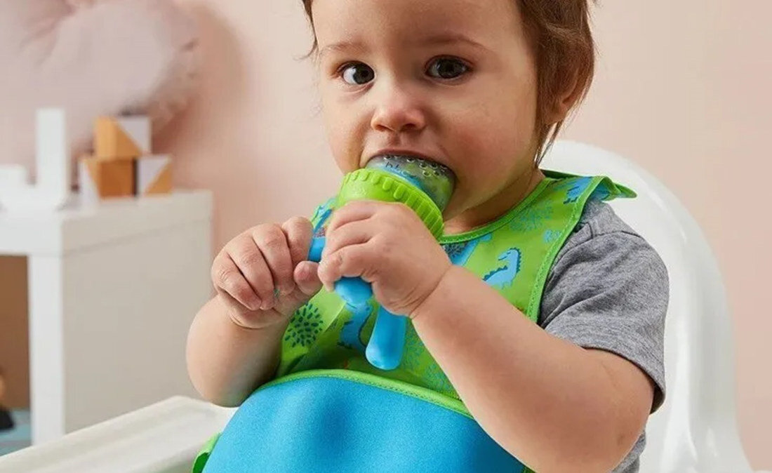 Gryzak B.BOX  Passion Splash BB00337 Zielono-fioletowy